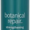 Aveda Botanical Repair Strengthening Shampoo