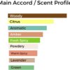 Blue Chenal Perfume Oil- Inspried Alternative Woody Aromatic Fragrance 6ML Roll On Bottle