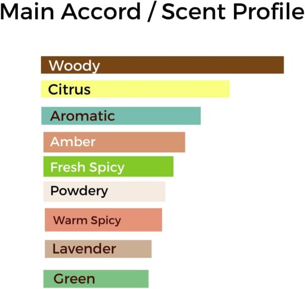 Blue Chenal Perfume Oil- Inspried Alternative Woody Aromatic Fragrance 6ML Roll On Bottle