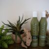 Loma Hair Care Nourishing Shampoo & Conditioner Duo