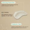 Aveeno Face Calm+Restore Nourishing Oat Cleanser (1x 200ml), Non-Foaming Face Care, Gentle Cleanser with Prebiotic Oat and Calming Feverfew, Helps Preserve Skin's Barrier