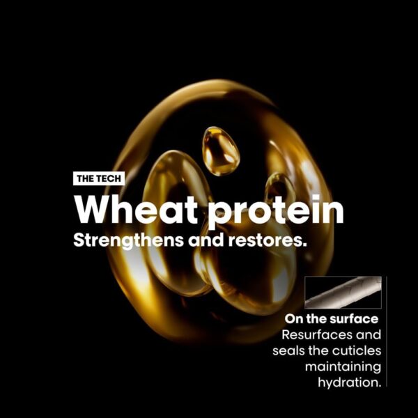 L’Oréal Professionnel | Shampoo, With Protein And Gold Quinoa for Dry And Damaged Hair, Serie Expert Absolut Repair