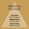 COLOUR ME Gold Homme Perfume for Men. 2x100ml Eau de Parfum Men Twin Pack, Luxury Fragrance - Mens Aftershave, Long Lasting Fragrance for Men by Milton-Lloyd