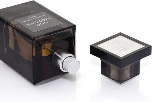 Oud Wonder by Fragrance World for Men - 2.7 oz EDP Spray