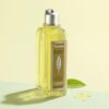 L'OCCITANE Verbena Shower Gel 250ml | Citrus Scented | Vegan & 99% Readily Biodegradable | Premium & Clean Beauty for All Skin Types