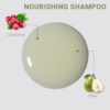 Loma Hair Care Nourishing Shampoo & Conditioner Duo