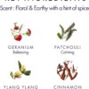 Aromatherapy Associates Bath and Shower Oil, Luxury Spa, Natural Bath, Bath Oil, Vegan, Cruelty Free, Environment Friendly (Revive Evening Bath and Shower Oil 55ml)