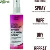 Makeup Brush Cleaner Spray Quick Dry Antibacterial & Antiviral Disinfectant Liquid Easy to Use & Long-Lasting Instant Ready to Use, Professional Grade 50ml