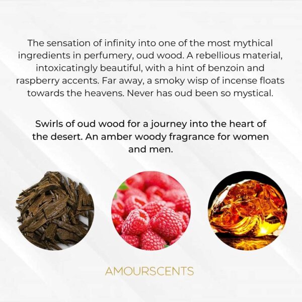 Amour Scents Ombre Nomade Inspired Alternative Perfume Extrait De Parfum Fragrances For Men & Women - Long Lasting Fragrance with 30% Essential Oil, Sophisticated Aroma - Ombre Shadow (50ml)