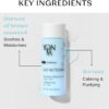Cleansing Milk Yonka 75ml | 98% Natural Origin Gentle Makeup Remover Milk | Moisturises and Rebalances Skin | All Skin Types, Water Rinsing | Botanical Blend and Brown Algae (Travel Size)
