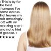 L’Oréal Professionnel | Shampoo, With Protein And Gold Quinoa for Dry And Damaged Hair, Serie Expert Absolut Repair