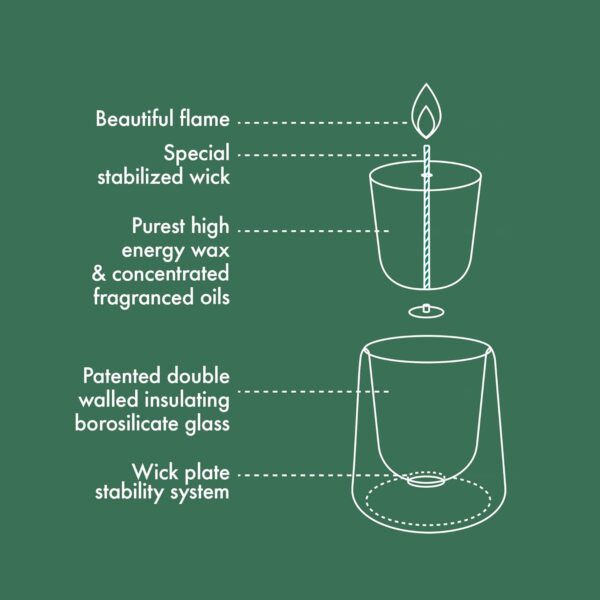 Bolsius - CleanLight Starter Set - Refillable Scented Candle - Holder & 9 Refills - Multiple Fragrances - Green - Burning Time of 20 Hours - Natural Extracts & Vegan Wax - No Palm Oil