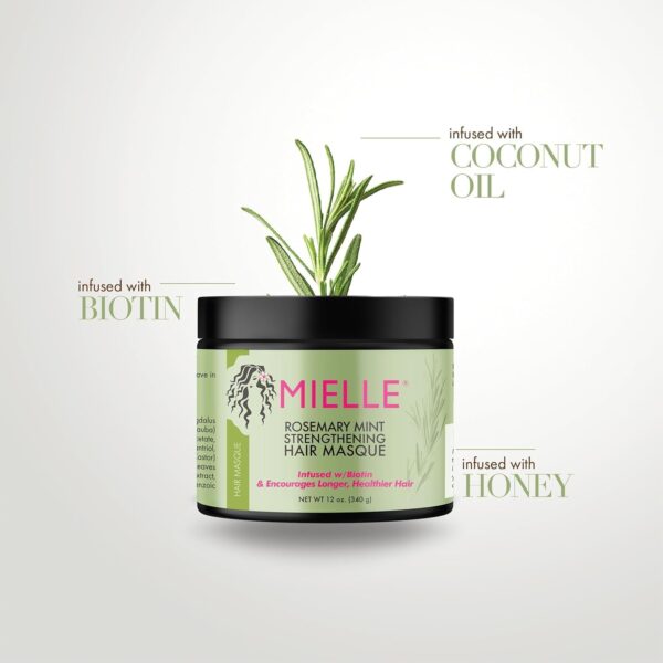 Mielle Rosemary Mint Strengthening Hair Masque, Essential Oil & Biotin Deep Treatment, Miracle Repair for Dry, Damaged, & Frizzy Hair, 340 ml (Pack of 1)