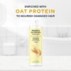 by Amazon Repair & Nutrition Conditioner, 2 x 300 ml (Pack of 2)