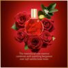Gloria In Red Eau de Parfum for Women 100ml Spray, Floral Female Perfume, Fragrance For Women, Women's Eau de Perfume, Womens Perfumes - Genuine Gloria Vanderbilt Perfume for Women