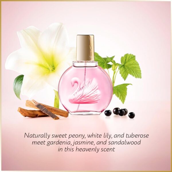 Gloria Vanderbilt Minuit à New York Eau De Toilette 100ml Spray, Floral Female Perfume, Fragrance For Women, Eau De Toilette For Women, Womens Perfumes - Genuine Gloria Vanderbilt Perfume for Women