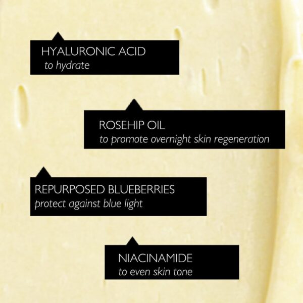 UpCircle Night Cream with Hyaluronic Acid + Niacinamide 55ml - Nourishing and Unscented for Sensitive Skin Anti-Ageing Properties - Vegan Cruelty-Free