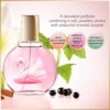 Gloria Vanderbilt Minuit à New York Eau De Toilette 100ml Spray, Floral Female Perfume, Fragrance For Women, Eau De Toilette For Women, Womens Perfumes - Genuine Gloria Vanderbilt Perfume for Women