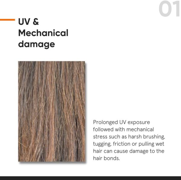 Minimalist Serum for Repairing Damaged Hair | Maleic Bond Repair Complex 05% Hair Serum with Amino Acids, Argan Oil & Squalane | For Women & Men | For All Hair Types | 50 ml