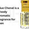 Blue Chenal Perfume Oil- Inspried Alternative Woody Aromatic Fragrance 6ML Roll On Bottle