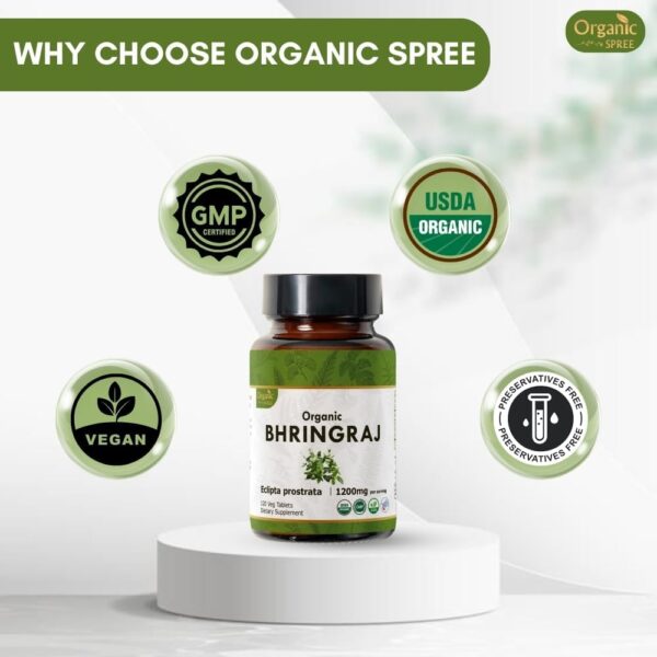 BHRINGRAJ 120 Tablets | Eclipta Alba (Bhringraj) | Organic and Natural | Ayurvedic Hair Care | Vegan and USDA Certified 120tab - Pack of 3