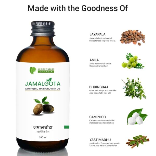 Jamalgota Ayurvedic Hair Growth Oil for Women & Men | Promotes New Hair Growth & Strengthens Hair | With Amla, Camphor Coconut and Bhringraj Oil | Nourishes Scalp & Controls Hair Fall