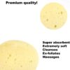 Extra Large Luxury Bath Sponge, Soft Shower Bathing Gentle Exfoliating Body Scrub, Great for Skin Care (1 Luxury Sponge)