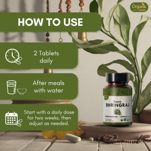 BHRINGRAJ 120 Tablets | Eclipta Alba (Bhringraj) | Organic and Natural | Ayurvedic Hair Care | Vegan and USDA Certified 120tab - Pack of 3