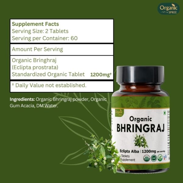 BHRINGRAJ 120 Tablets | Eclipta Alba (Bhringraj) | Organic and Natural | Ayurvedic Hair Care | Vegan and USDA Certified 120tab - Pack of 3