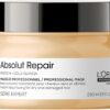 L’Oréal Professionnel | Mask, With Protein And Gold Quinoa for Medium-Thick Dry And Damaged Hair, Serie Expert Absolut Repair, 250 ml