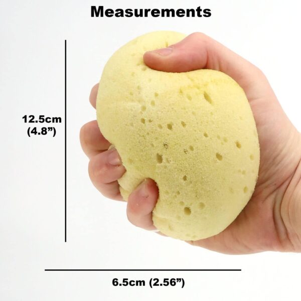 Extra Large Luxury Bath Sponge, Soft Shower Bathing Gentle Exfoliating Body Scrub, Great for Skin Care (1 Luxury Sponge)