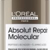 L'Oréal Professionnel SE Absolut Repair Molecular Leave-in Mask