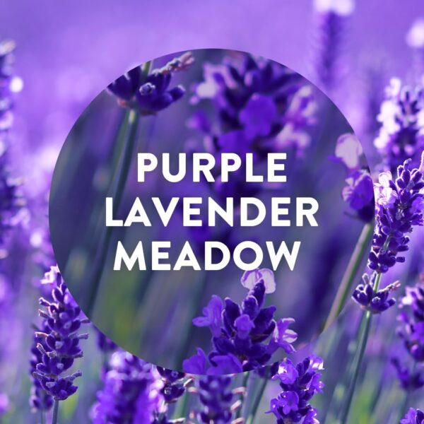 Air Wick Plug in Diffuser Kit, Purple Lavender Meadow, 1 Device & 1 Refill (19ml), Long Lasting Fragrance, Lasts up to 100 days, Plug in Air freshener