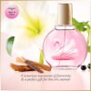 Gloria Vanderbilt Minuit à New York Eau De Toilette 100ml Spray, Floral Female Perfume, Fragrance For Women, Eau De Toilette For Women, Womens Perfumes - Genuine Gloria Vanderbilt Perfume for Women