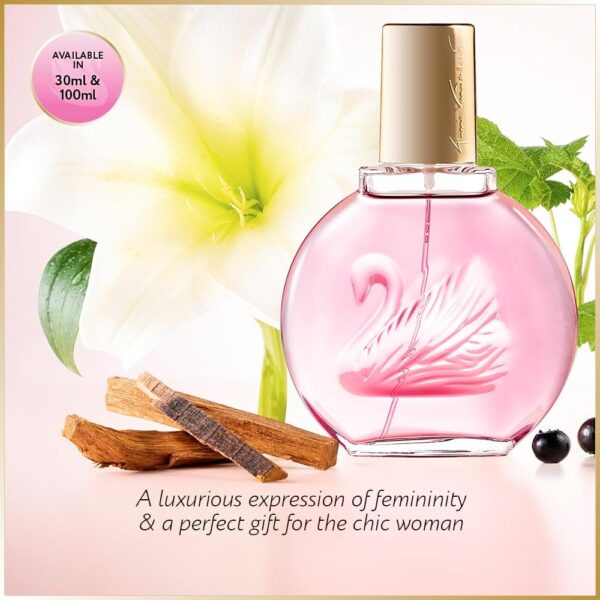 Gloria Vanderbilt Minuit à New York Eau De Toilette 100ml Spray, Floral Female Perfume, Fragrance For Women, Eau De Toilette For Women, Womens Perfumes - Genuine Gloria Vanderbilt Perfume for Women
