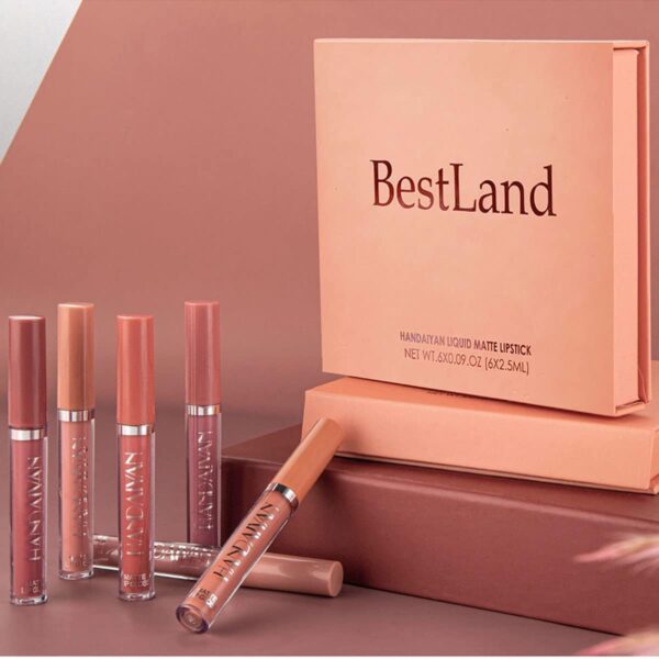 6 Pcs Matte Liquid Lipstick Set Nude Lip Gloss Non-Stick Cup Not Fade Waterproof Long Lasting Lip Sticks Gift For Make Up Women (Set B)