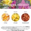 Ashleigh & Burwood - Freesia & Orchid Lamp Fragrance - 500 mL - UK-Made, Purifies and Perfumes Air - Floral Scent with Orange and Grapefruit - Natural Ingredients - Burning Time 20 Hours
