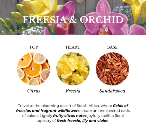 Ashleigh & Burwood - Freesia & Orchid Lamp Fragrance - 500 mL - UK-Made, Purifies and Perfumes Air - Floral Scent with Orange and Grapefruit - Natural Ingredients - Burning Time 20 Hours
