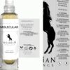 Arabian Opulence FR201 MOLECULAR Roll-on Perfume Oil | Concentrated Fragrance Body Oil | Long Lasting Oil Based Perfume for Men and Women | Travel Size Bottle Alcohol-Free (6ml)