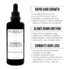 Rosemary Scalp Treatment | Nourish with Rosemary Oil, Strengthen Follicles, Hydrate Scalp, Prevent Hair Loss, Ideal for Healthier Hair - Organic Hair Care Solution