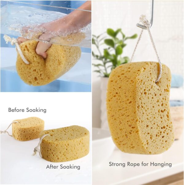 Azymi Shower Sponge, Exfoliating Bath Sponges for Adults, 2Pcs Body Scrub Sponge Dense Foam for Gentle & Deep Cleansing, Ultra-Soft for Sensitive Dry Skin
