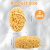HZHSGLY 2 Pcs Sponges Bath, Gentle Honeycomb Bath Sponges Deep Cleaning, Dense Foam Sponges Shower Natural Sponge for Shower(Oval, One Size)
