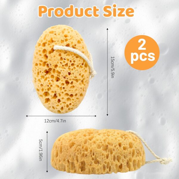 HZHSGLY 2 Pcs Sponges Bath, Gentle Honeycomb Bath Sponges Deep Cleaning, Dense Foam Sponges Shower Natural Sponge for Shower(Oval, One Size)