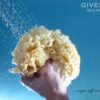 Unbleached Honeycomb Natural Sea Sponge - 100% Natural, Organic, Strong, Durable, Hypoallergenic -for Children and Adults - Used in Bath, Shower, Cleansing, Exfoliating, Art, Pets, Gift (Small)