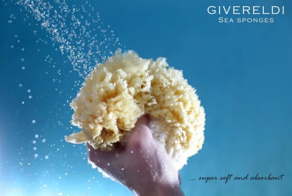 Unbleached Honeycomb Natural Sea Sponge - 100% Natural, Organic, Strong, Durable, Hypoallergenic -for Children and Adults - Used in Bath, Shower, Cleansing, Exfoliating, Art, Pets, Gift (Small)