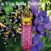 Sapphire's Choice - La Vie Est Belle Inspired Alternative Perfume Oil | Vanilla and Pear Fragrance | Women's La Vita Bella 8ml | Made in UK