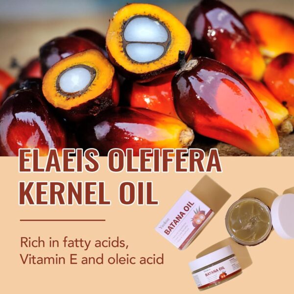 Batana Oil for Hair Growth Pure and Natural Raw Unrefined Dr Sebi,Hair Oil,Great for Skin Care and Hair Care Promotes Hair Thickness for Men Women