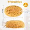 719EiZl3MSL._AC_SL1500_.jpg Body Bath Sponge 2PCS Sponges Bath Large Soft Honeycomb Bath Sponges Shower Sponges for Women Men Exfoliating Body Sponge Dense Foam for Gentle & Deep Cleansing, Ultra-Soft for Sensitive Dry Skin