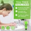 Tea Tree Foaming Face Wash & Facial Scrub | Cleansing, Gentle Exfoliation to Remove Dead Skin cells, Unclog Pores & Refresh The Skin | 2 Pack