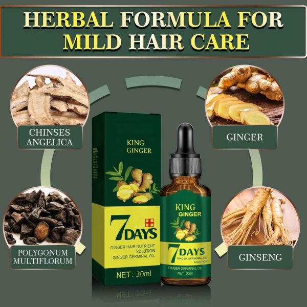 71EkJzHb5ML._AC_SL1500_.jpg Ginger Anti Hair Loss 7 Days Oil,Ginger Hair Growth Oil,Hair Loss Treatment for Women,Hair Growth Serum,Repair Damaged Hair,Ginger Hair Growth Germinal Oil,Hair Strengthening Products,Hair Thickening